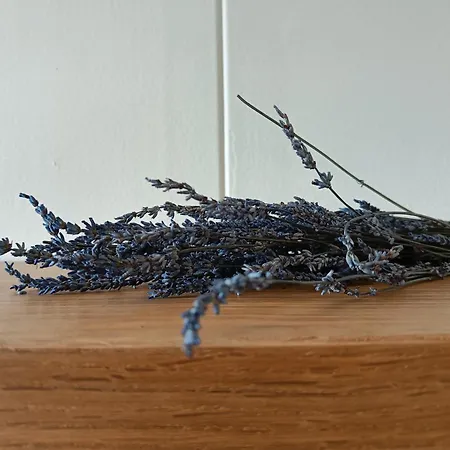 Vakantiewoning 't Kusterke Ferienhaus *