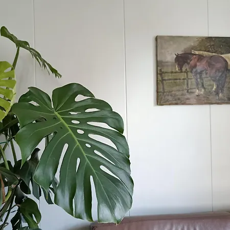 Vakantiewoning 't Kusterke Cadier en Keer