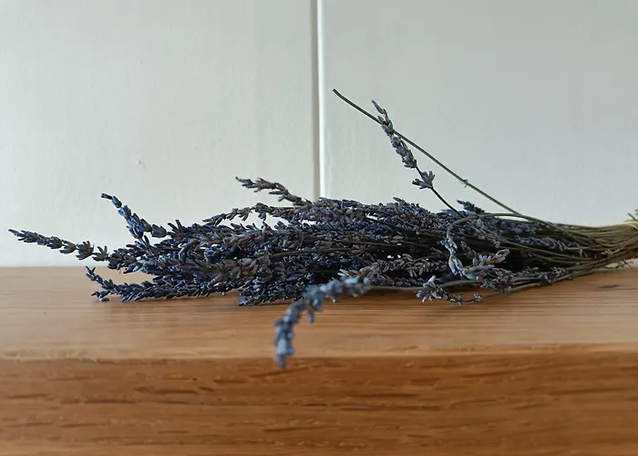 Vakantiewoning 't Kusterke Сasa de vacaciones *