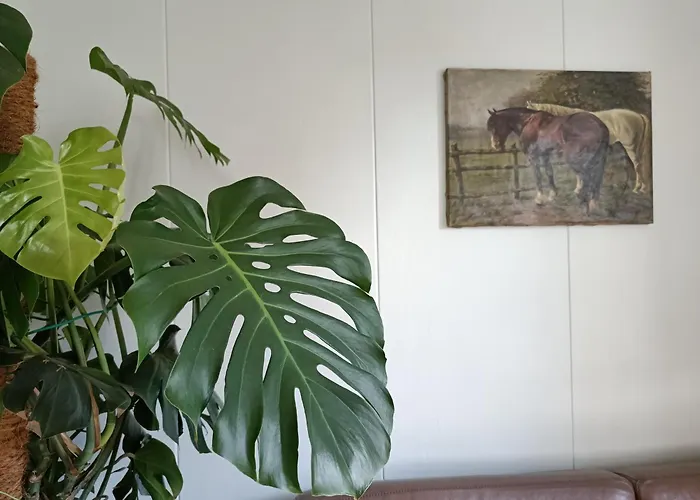 Vakantiewoning 't Kusterke Cadier en Keer